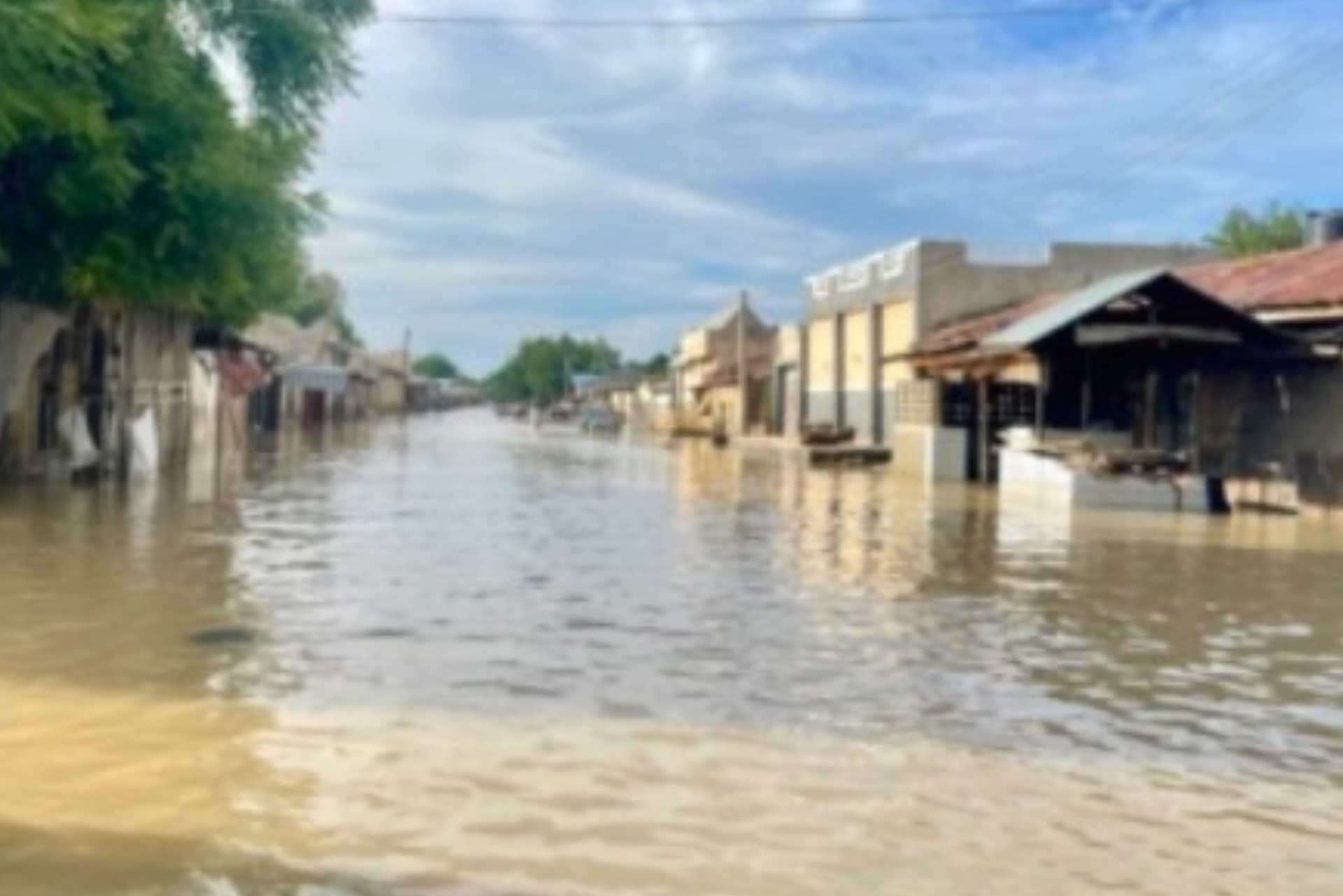 The Devastating Flood in Maiduguri: A Humanitarian Crisis